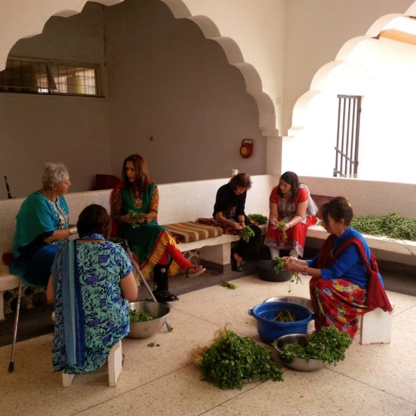 Beautiful Food and Miracles from the Sky